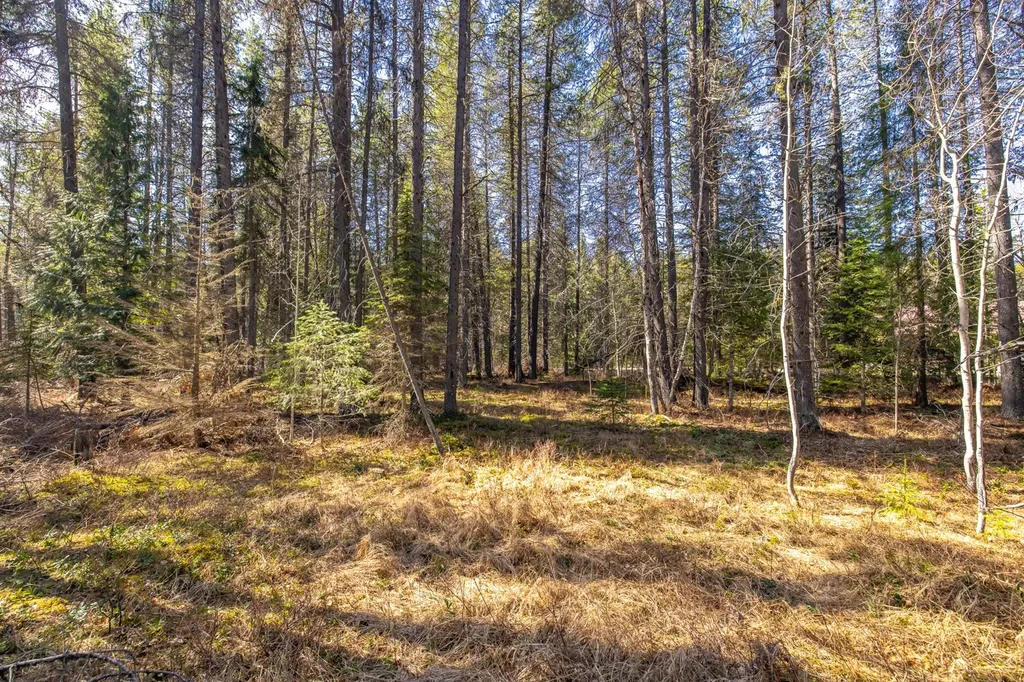 Nhn Rabe Road Columbia Falls MT 59912