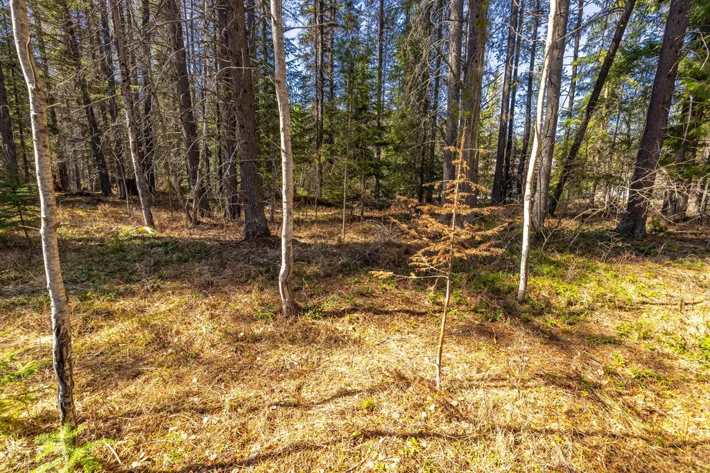 Nhn Rabe Road Columbia Falls MT 59912