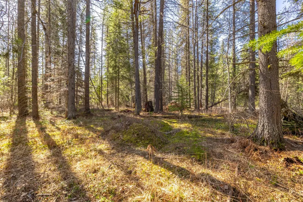 Nhn Rabe Road Columbia Falls MT 59912
