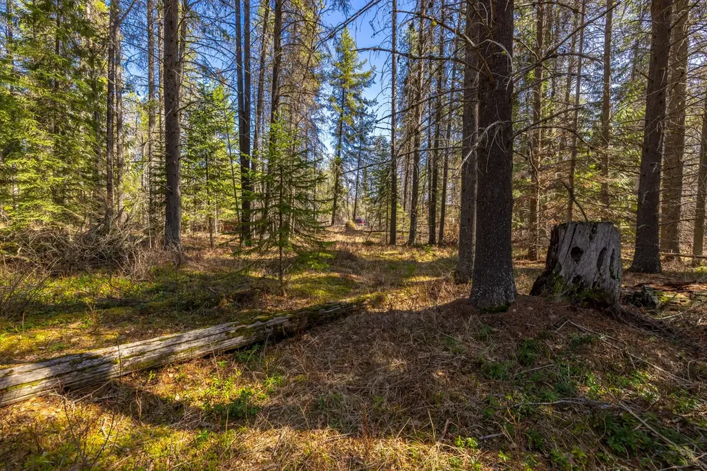 Nhn Rabe Road Columbia Falls MT 59912