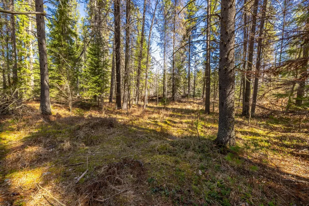 Nhn Rabe Road Columbia Falls MT 59912