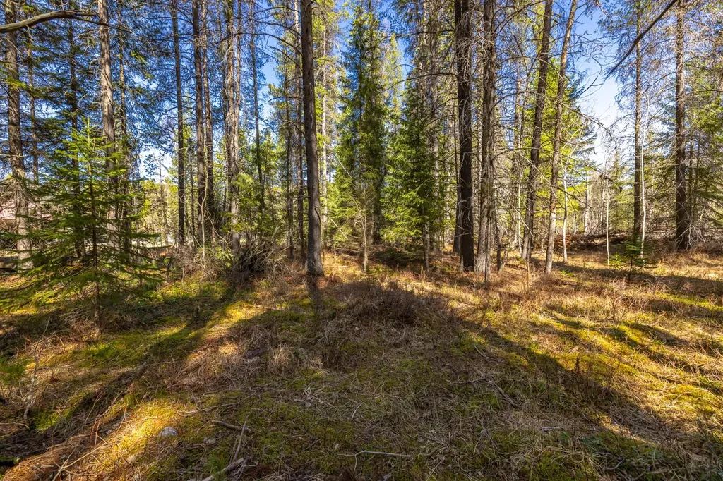 Nhn Rabe Road Columbia Falls MT 59912