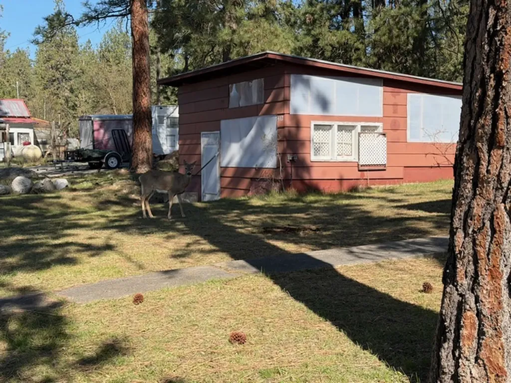 412 4th Avenue W Thompson Falls MT 59873
