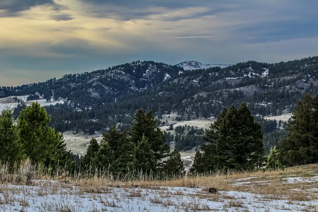 Nhn Woodchuck Road Bozeman MT 59715