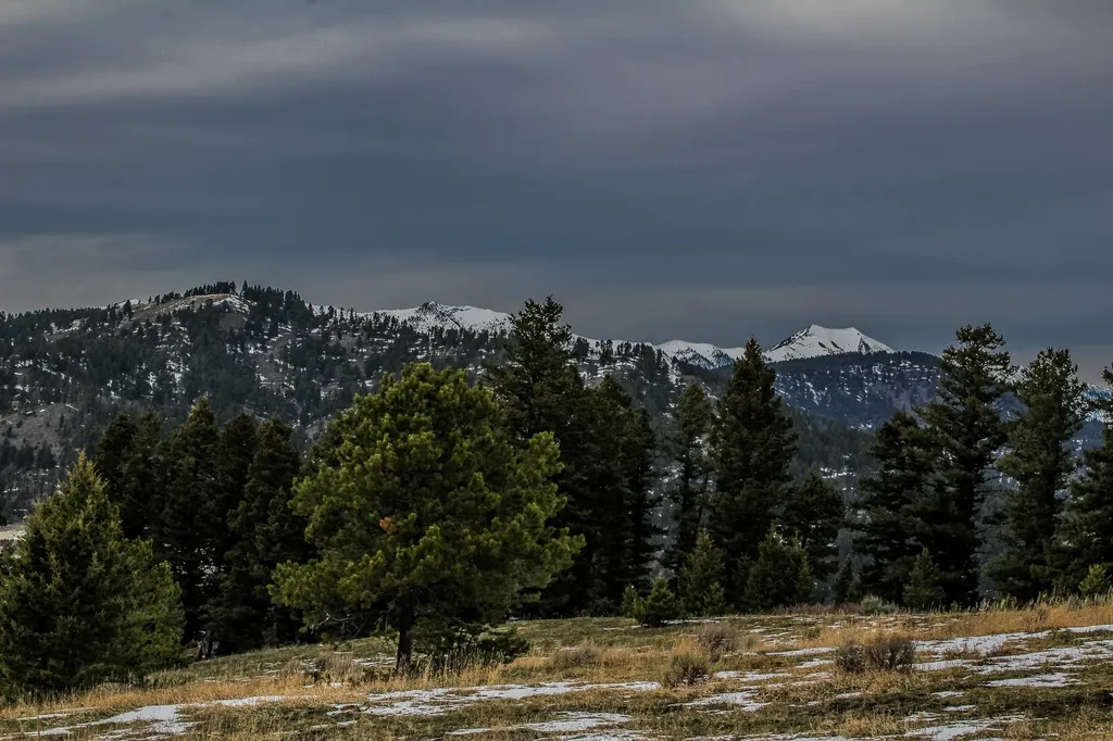 Nhn Woodchuck Road Bozeman MT 59715