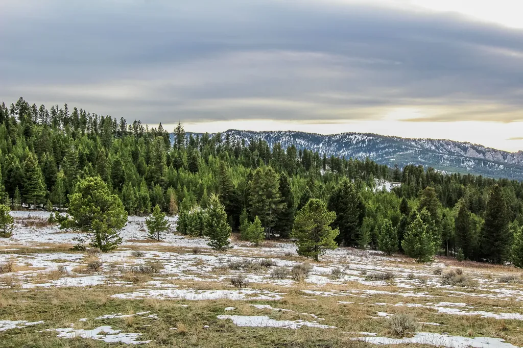 Nhn Woodchuck Road Bozeman MT 59715