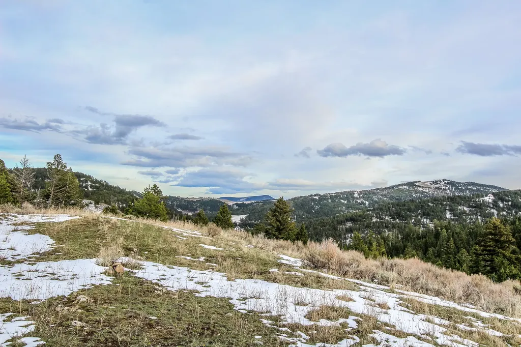 Nhn Woodchuck Road Bozeman MT 59715