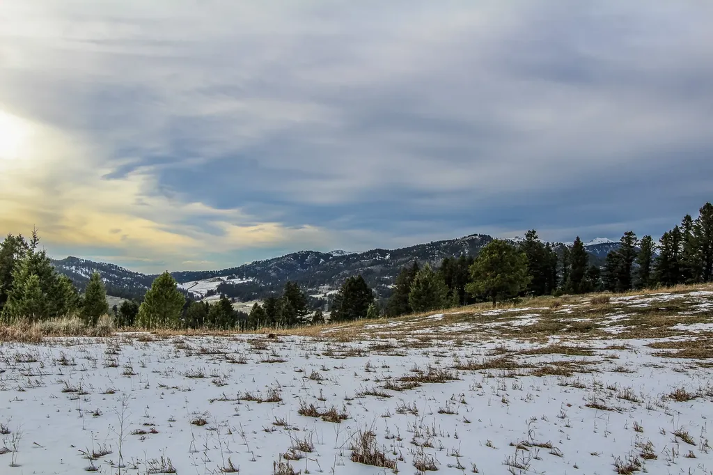 Nhn Woodchuck Road Bozeman MT 59715