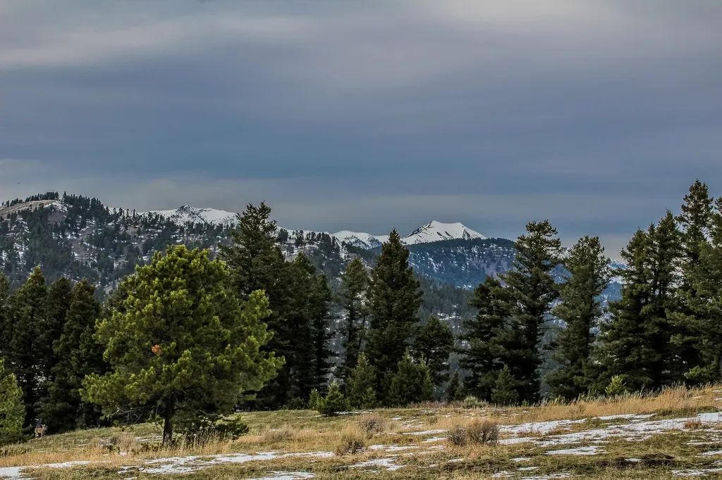 Nhn Woodchuck Road Bozeman MT 59715