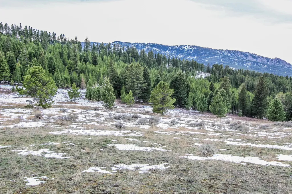 Nhn Woodchuck Road Bozeman MT 59715