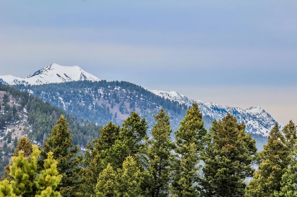 Nhn Woodchuck Road Bozeman MT 59715