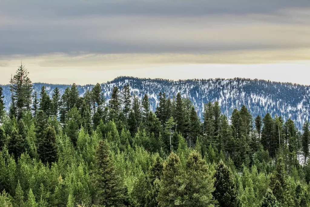 Nhn Woodchuck Road Bozeman MT 59715