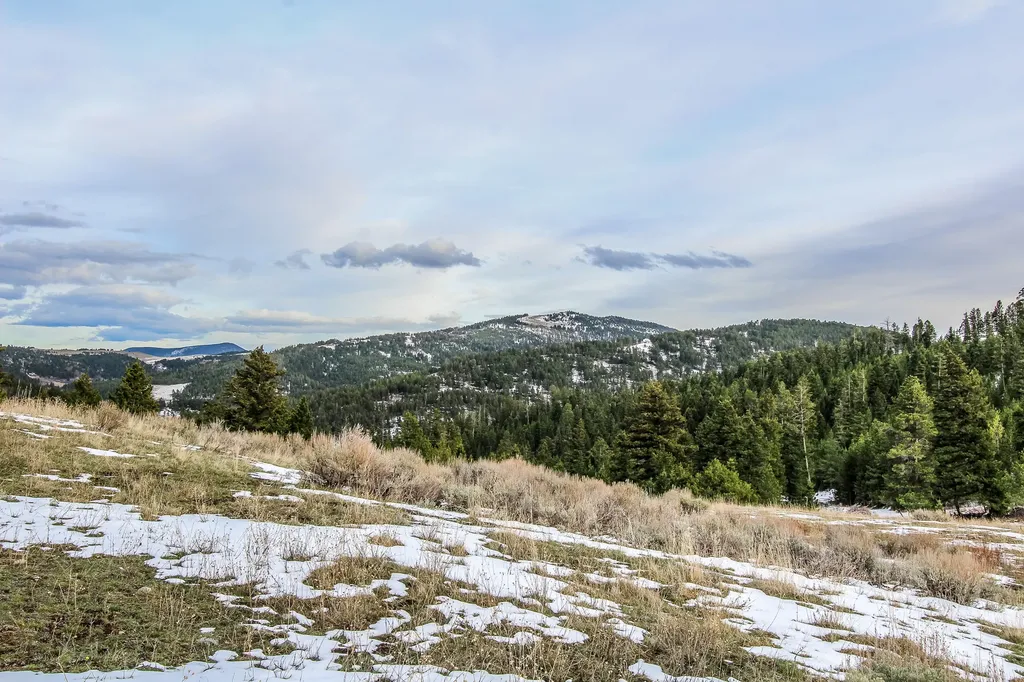 Nhn Woodchuck Road Bozeman MT 59715