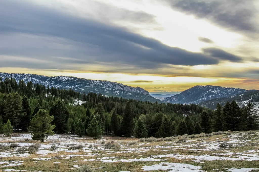 Nhn Woodchuck Road Bozeman MT 59715