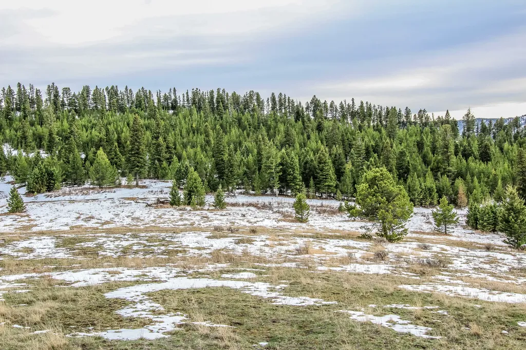 Nhn Woodchuck Road Bozeman MT 59715