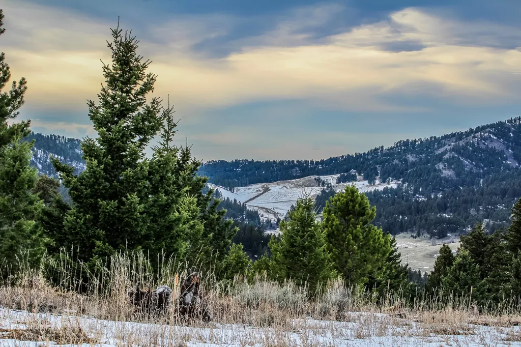 Nhn Woodchuck Road Bozeman MT 59715