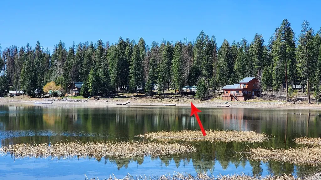 1894 La Brant Road Bigfork MT 59911