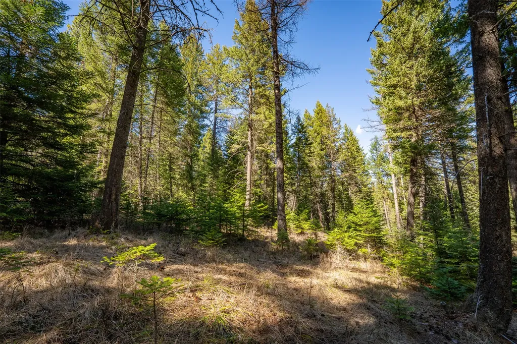 1760 & 1720 Browns Meadow Road Kila MT 59920
