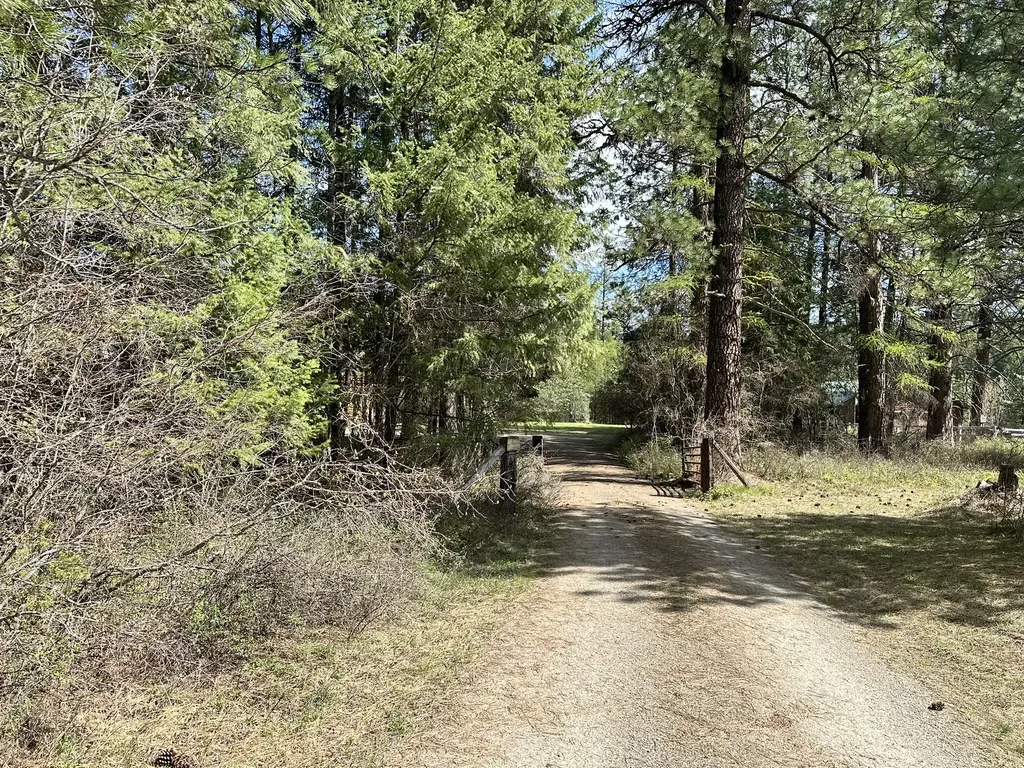 3349 Mt Highway 200 Trout Creek MT 59874
