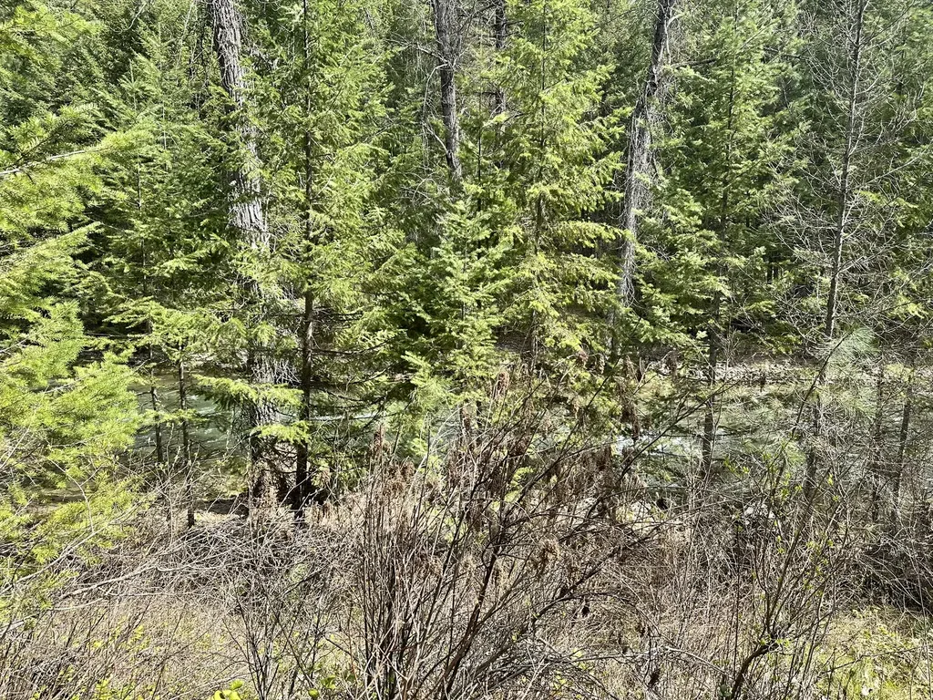 3349 Mt Highway 200 Trout Creek MT 59874