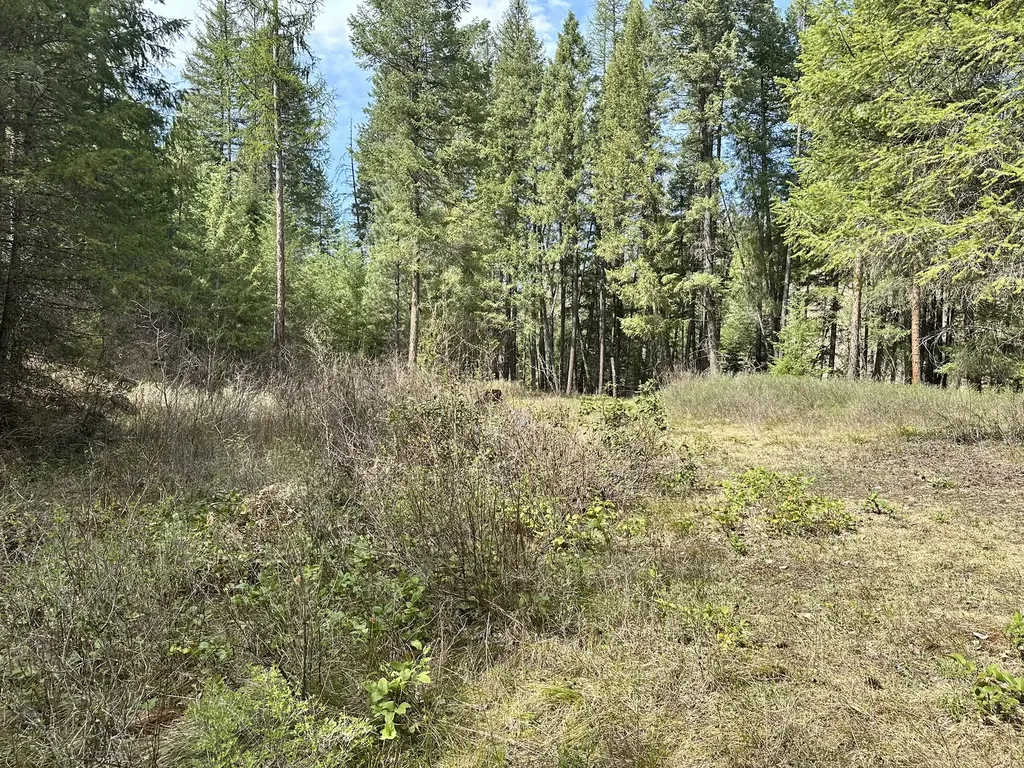 3349 Mt Highway 200 Trout Creek MT 59874
