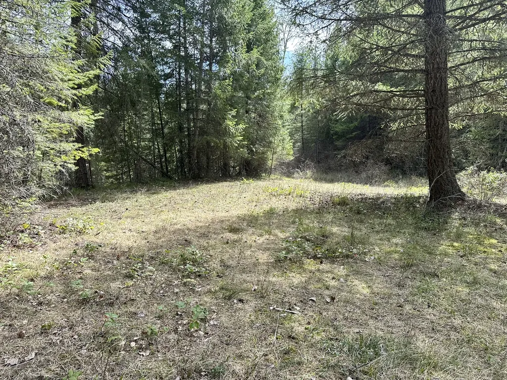 3349 Mt Highway 200 Trout Creek MT 59874