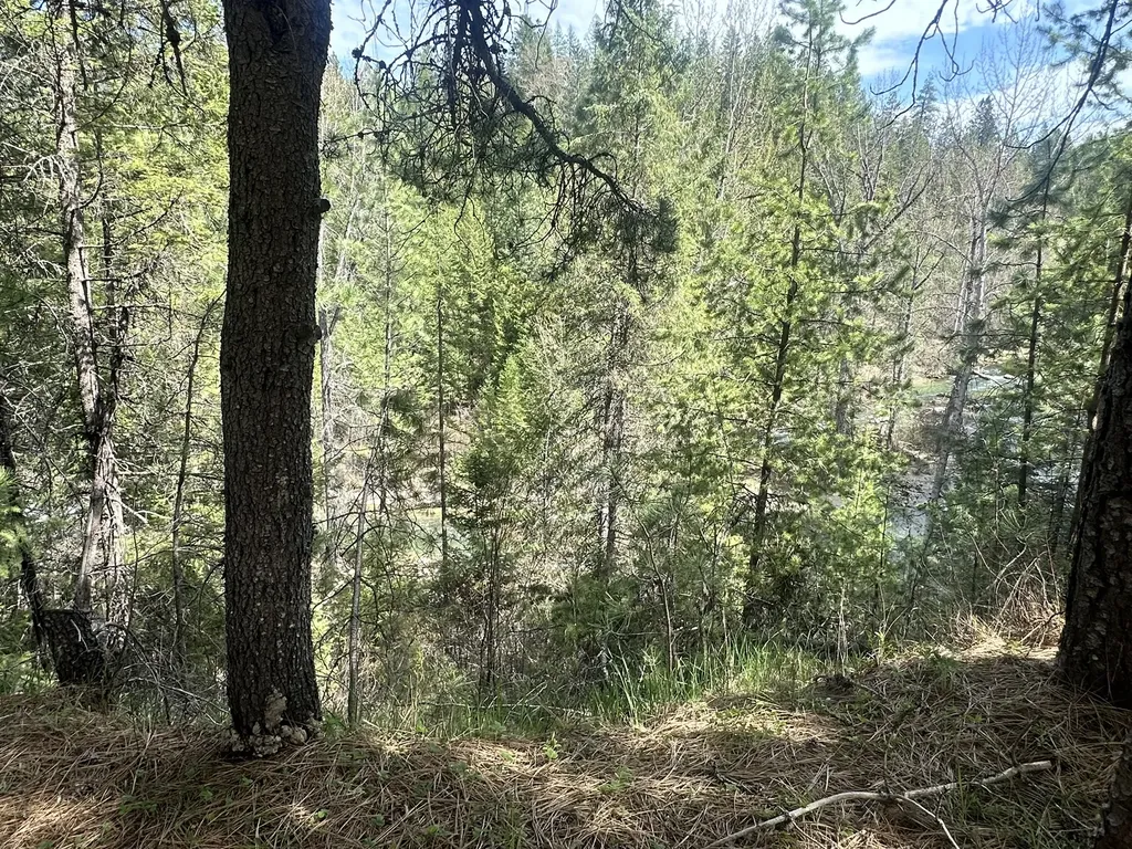 3349 Mt Highway 200 Trout Creek MT 59874