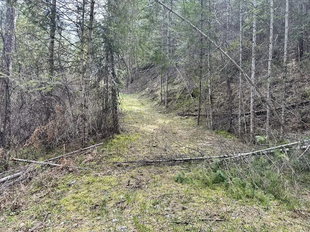 3349 Mt Highway 200 Trout Creek MT 59874