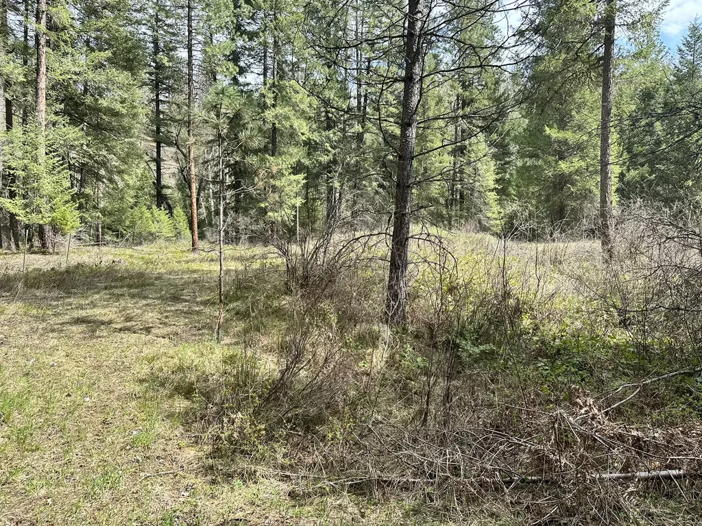 3349 Mt Highway 200 Trout Creek MT 59874