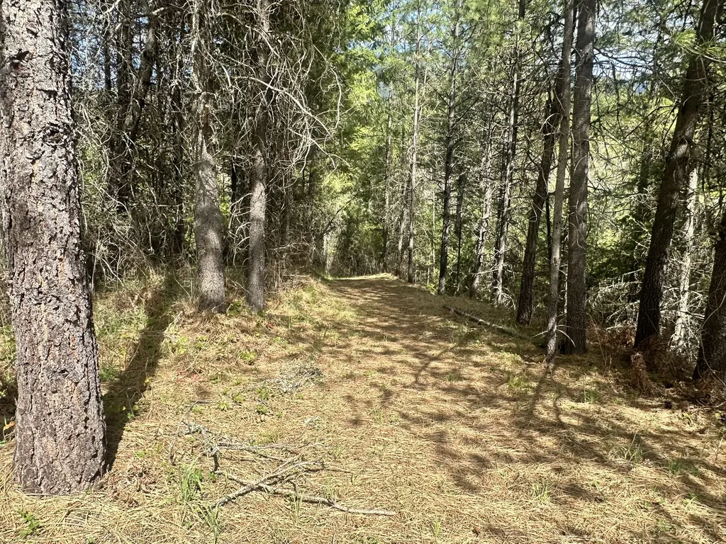 3349 Mt Highway 200 Trout Creek MT 59874