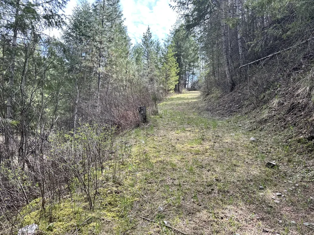 3349 Mt Highway 200 Trout Creek MT 59874