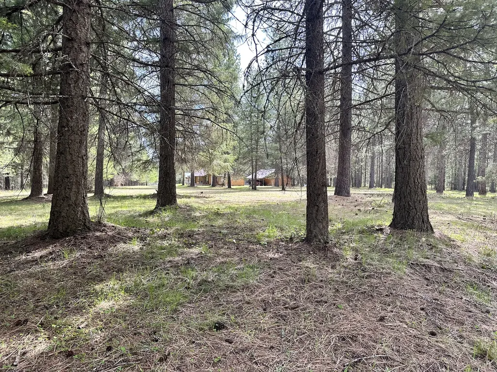 3349 Mt Highway 200 Trout Creek MT 59874