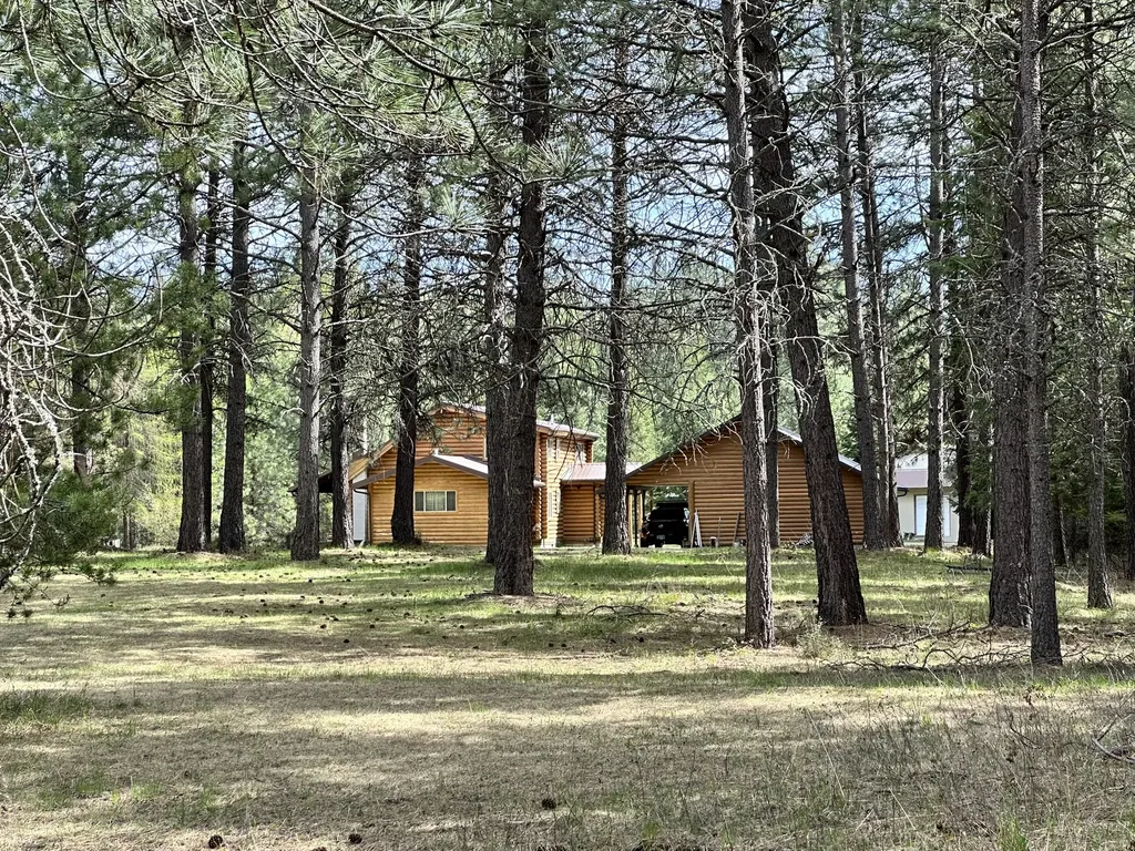 3349 Mt Highway 200 Trout Creek MT 59874