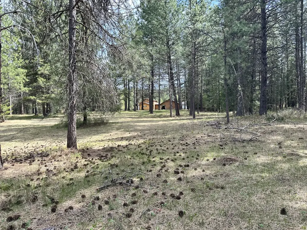 3349 Mt Highway 200 Trout Creek MT 59874