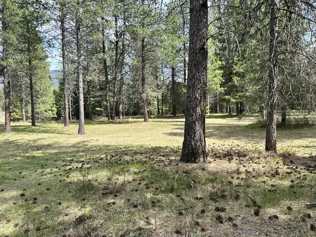 3349 Mount Highway 200 Trout Creek MT 59874