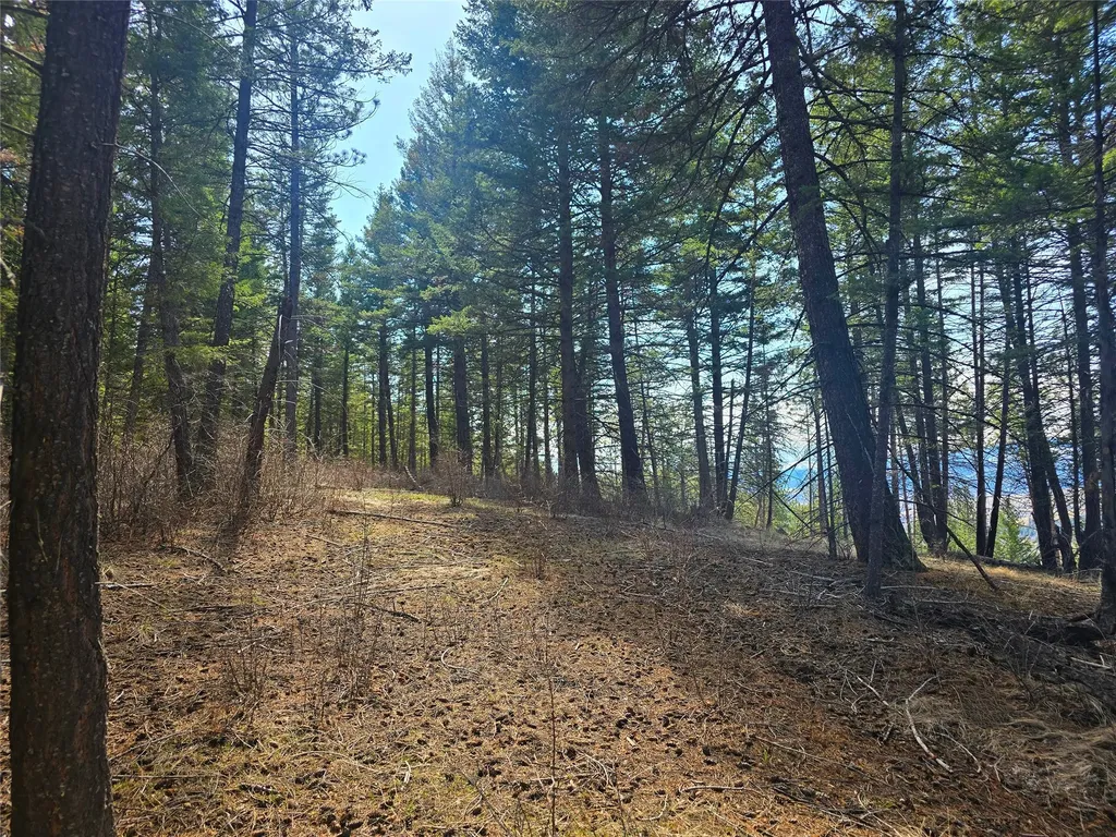 425 Colorado Gulch Road Missoula MT 59808