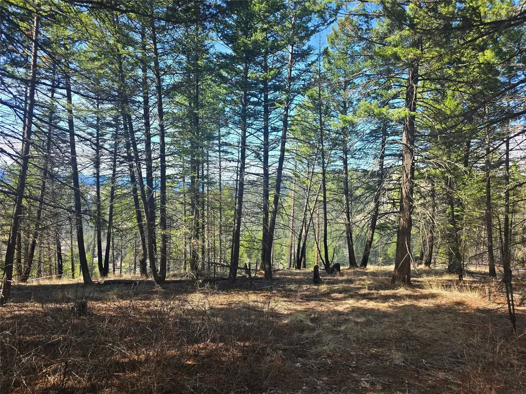 425 Colorado Gulch Road Missoula MT 59808