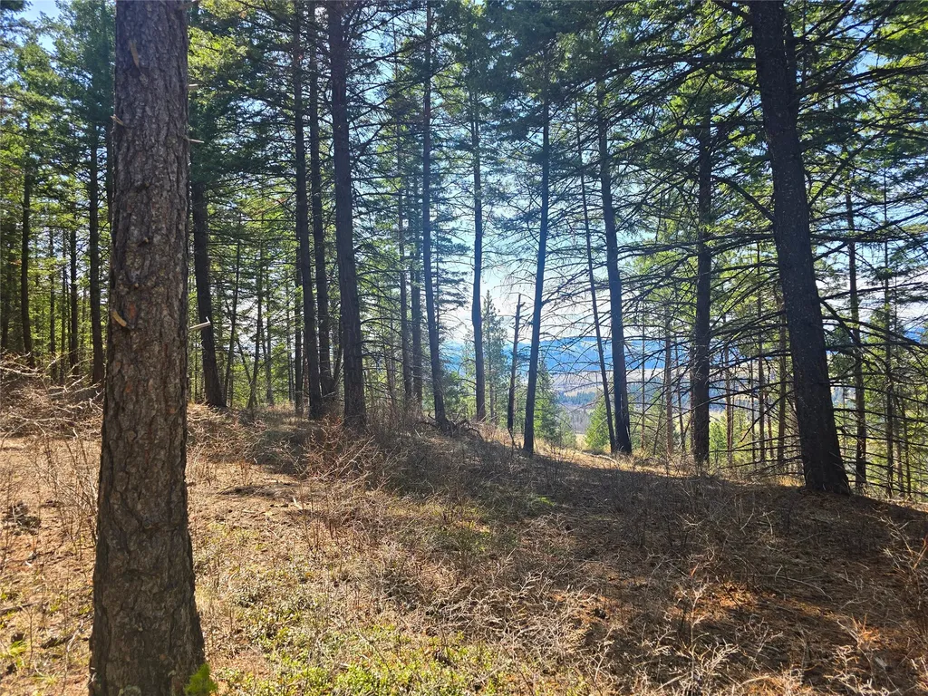 425 Colorado Gulch Road Missoula MT 59808