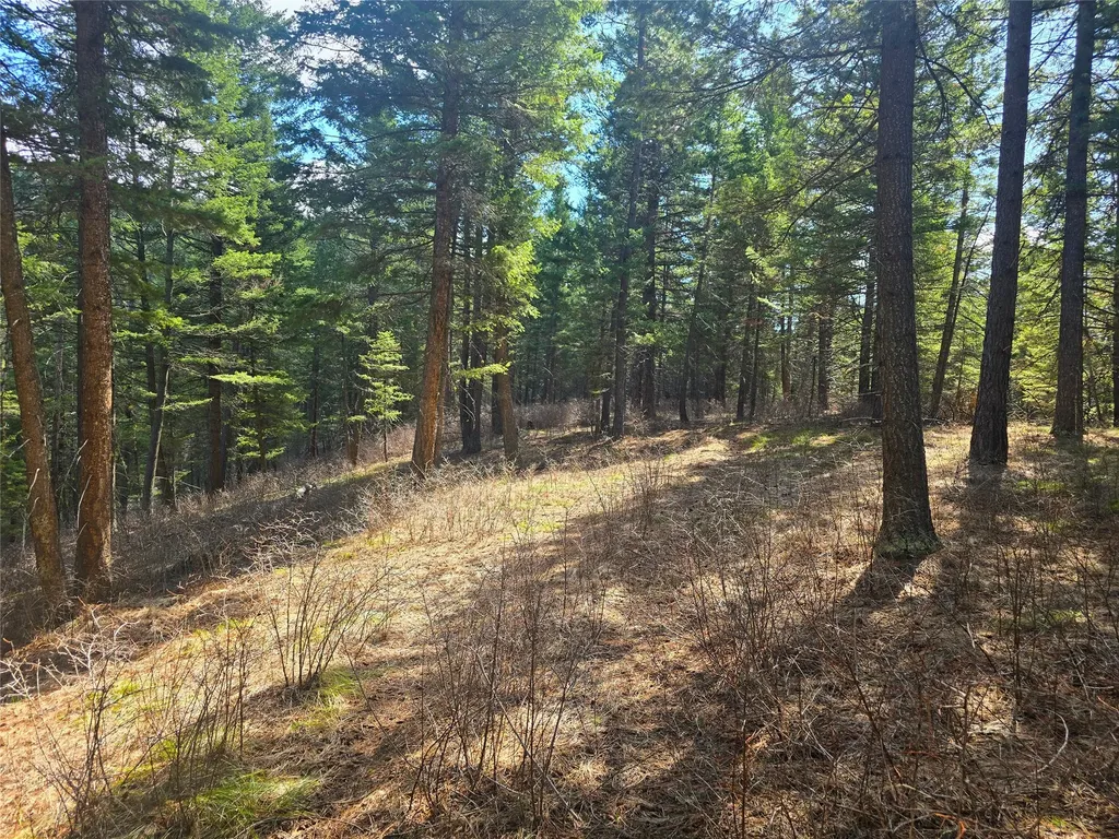425 Colorado Gulch Road Missoula MT 59808