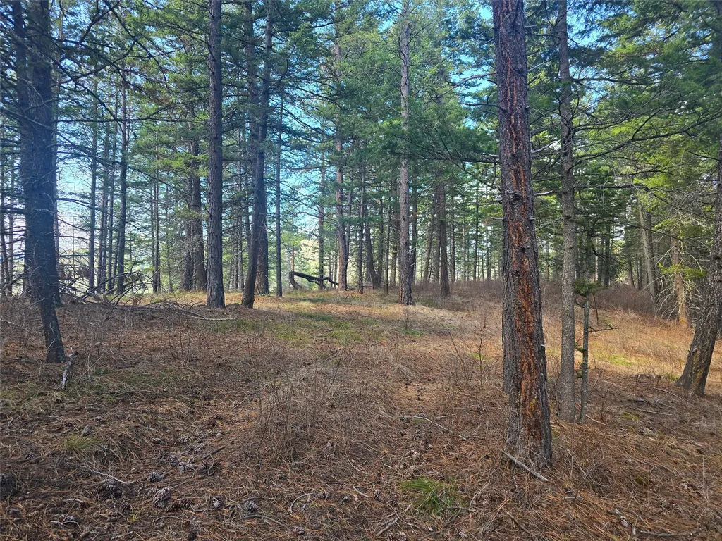 425 Colorado Gulch Road Missoula MT 59808