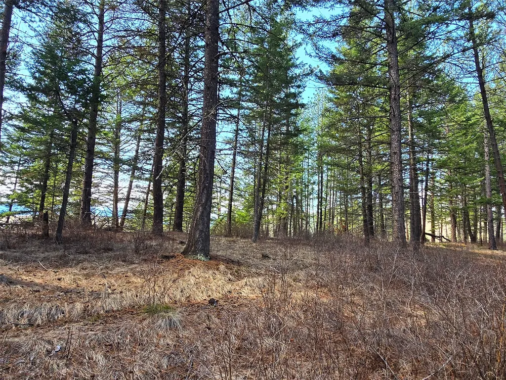 425 Colorado Gulch Road Missoula MT 59808