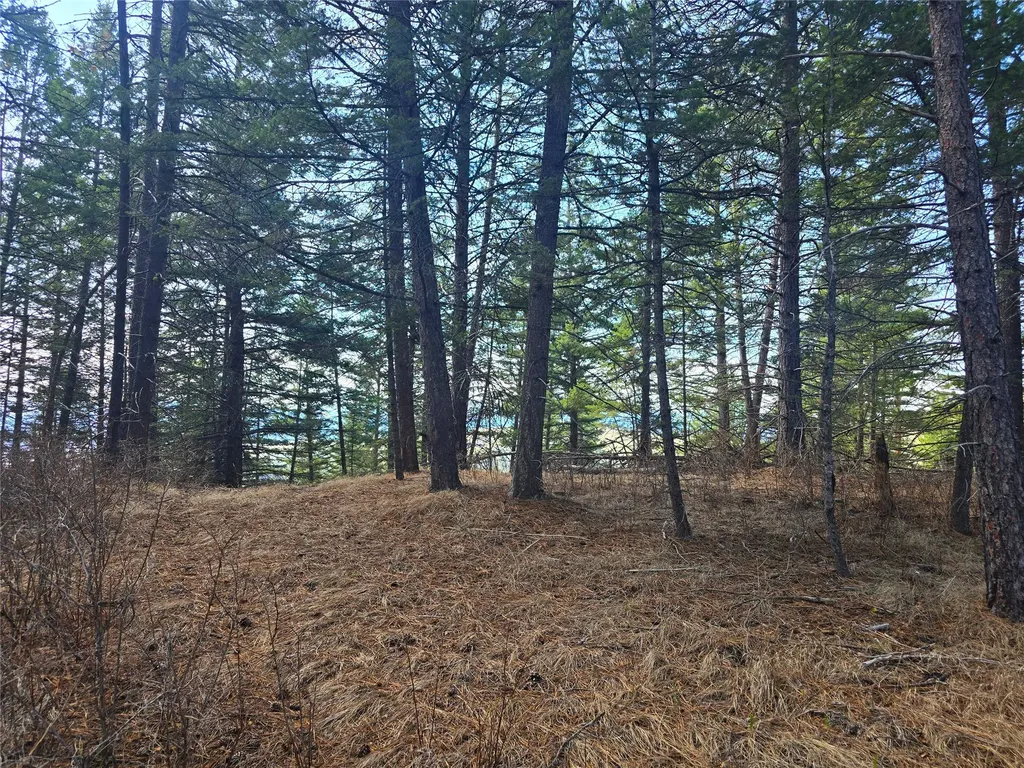 425 Colorado Gulch Road Missoula MT 59808
