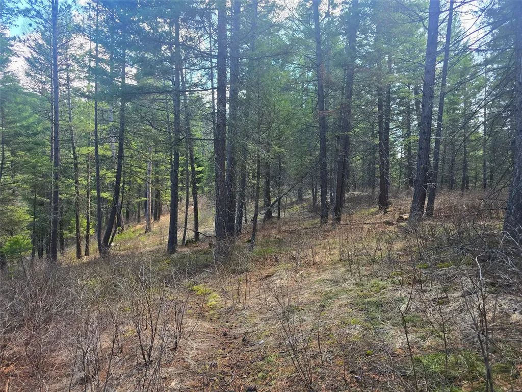 425 Colorado Gulch Road Missoula MT 59808