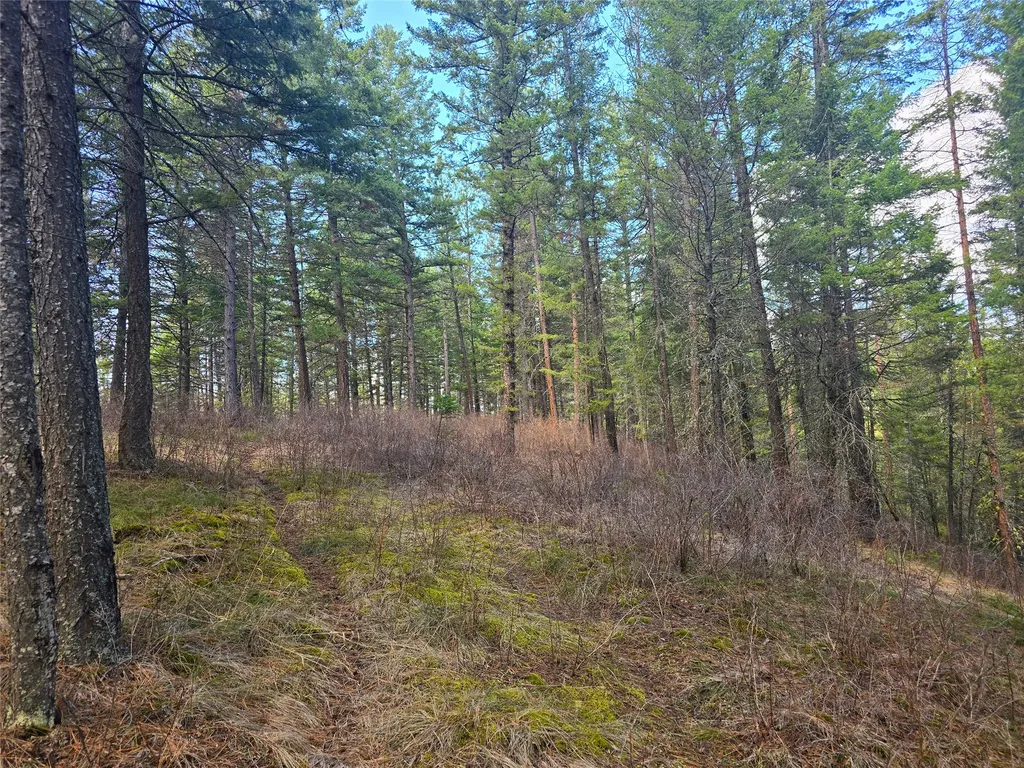 425 Colorado Gulch Road Missoula MT 59808