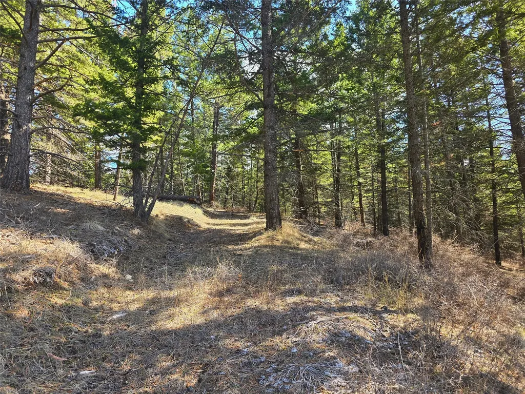 425 Colorado Gulch Road Missoula MT 59808