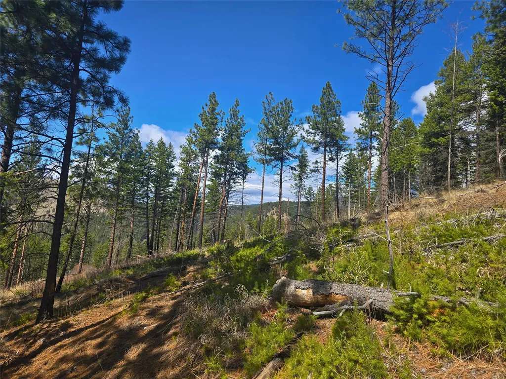 425 Colorado Gulch Road Missoula MT 59808