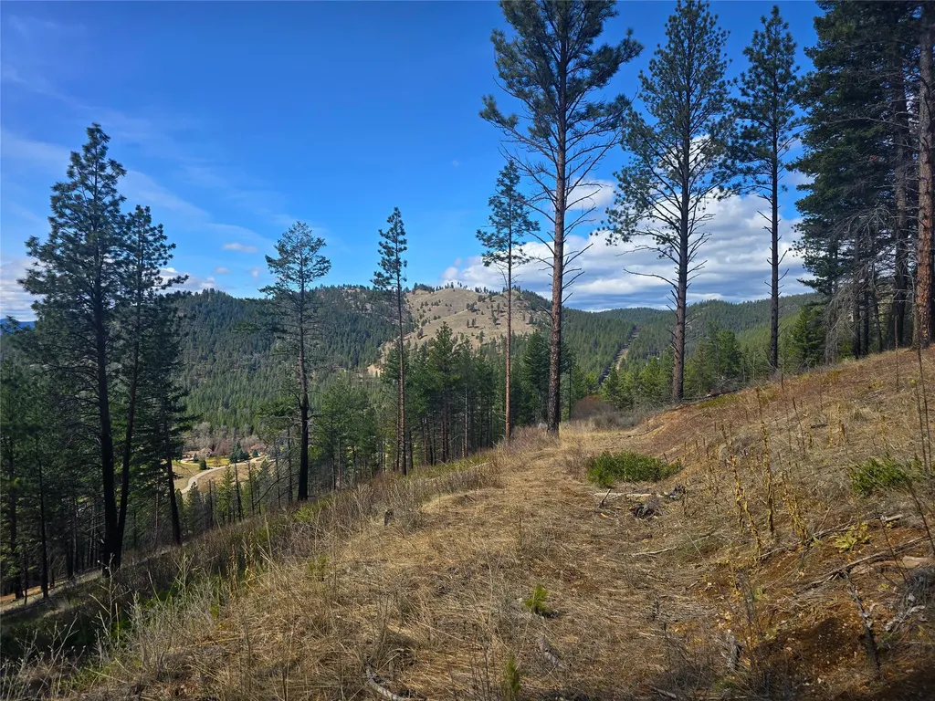 425 Colorado Gulch Road Missoula MT 59808