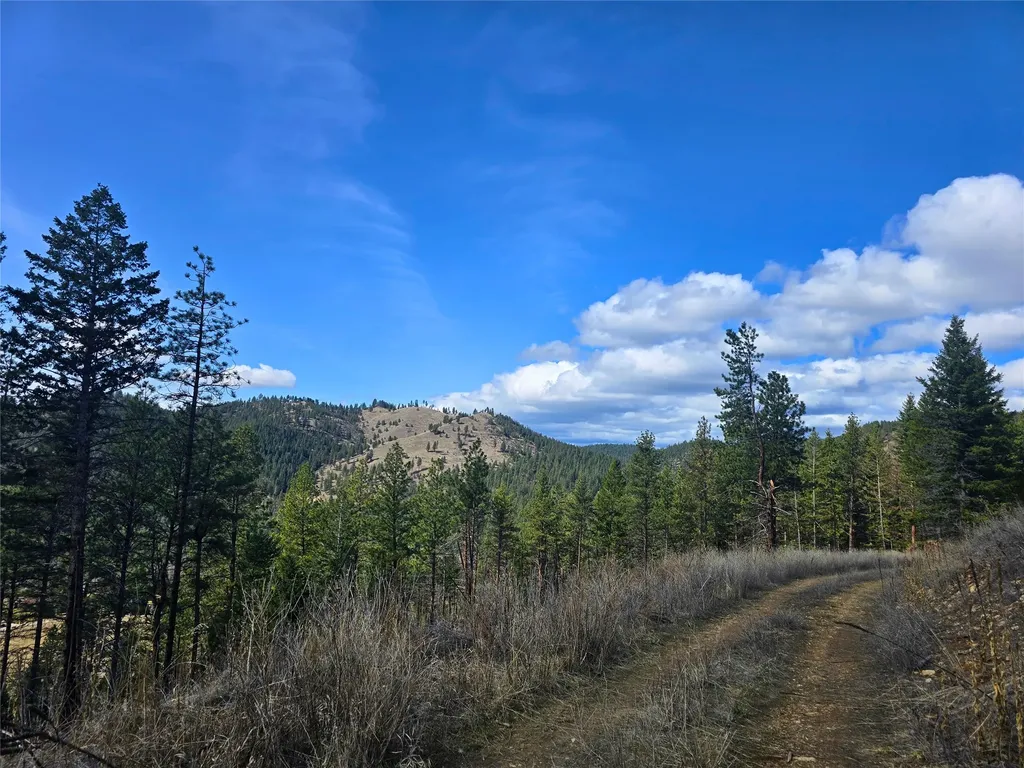 425 Colorado Gulch Road Missoula MT 59808