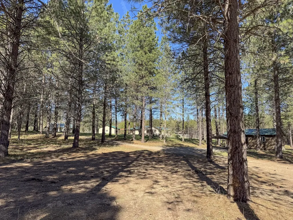 4525 Mount Highway 200 Thompson Falls MT 59873