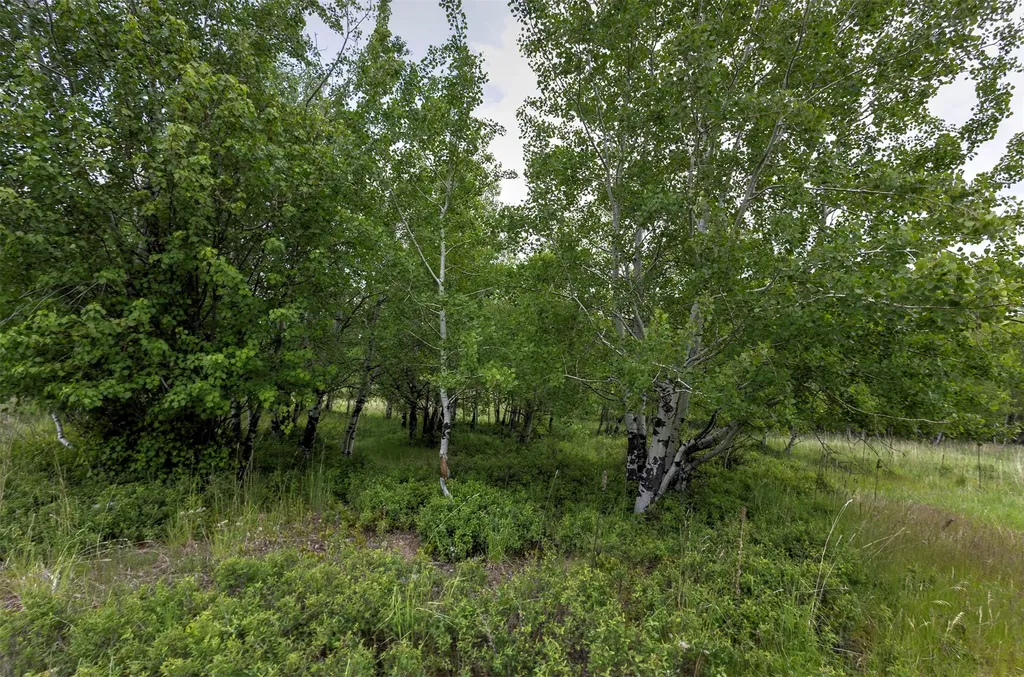 959 W Cow Creek Road Hamilton MT 59840